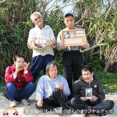 ふるさと納税 徳之島町 【ふるさと納税限定】徳之島ご当地グッズセット「tetoteto〜シマの太陽と手と手と」 |  | 03