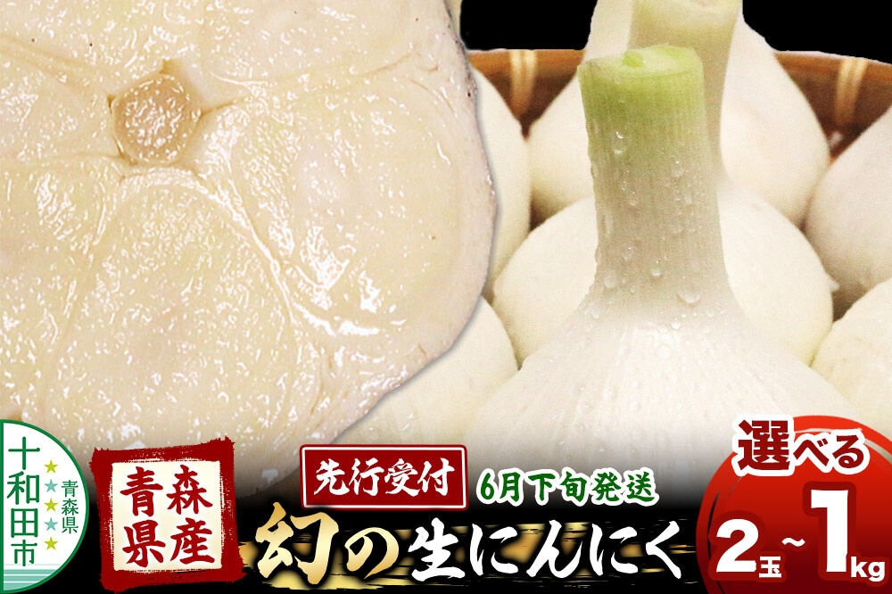 
                  青森県産にんにく 幻の生にんにく【選べる内容量：2玉／5玉／1kg（約10～20玉）】 [福地ホワイト 青森期待の新人商店 稀少 ニンニク 今が旬]
                