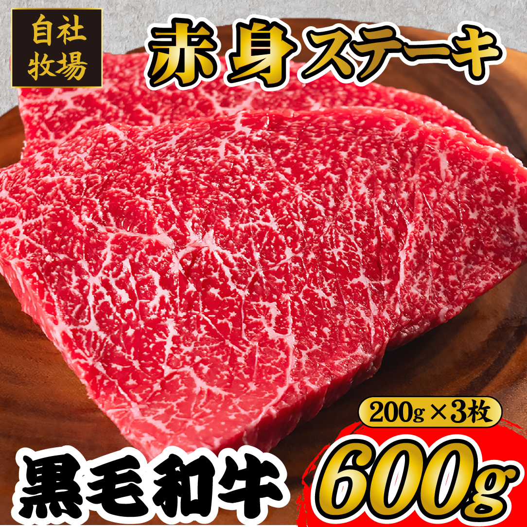 【自社牧場和牛】小林市産 黒毛和牛 赤身ステーキ 200g×3枚（牛肉 国産牛 黒毛和牛 和牛 赤身 ステーキ）
