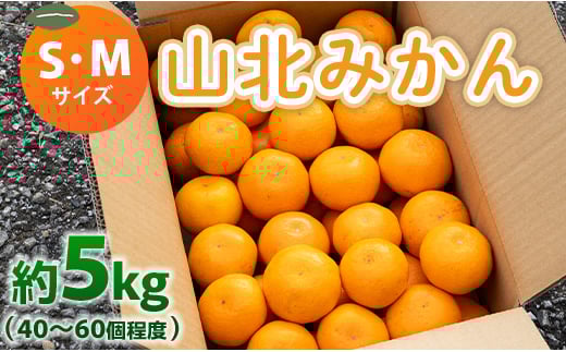 
            みかん 5kg（40～60個程度） 山北みかん S・Mサイズ 山北みらい 秀品 - 果物 フルーツ 柑橘類 温州みかん ミカン 蜜柑 甘い おいしい 美味しい 高知県 香南市 yk-0046
          