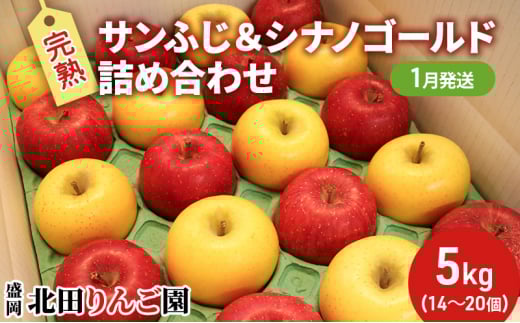 先行予約【1月発送】盛岡北田りんご園 完熟サンふじ＆シナノゴールド詰め合わせ 約5kg（14～20玉） 果物類 王様 果汁 甘 酸味 バランス 晩生種 代表 黄色い シャッキシャキ 濃厚 人気 貯蔵性 