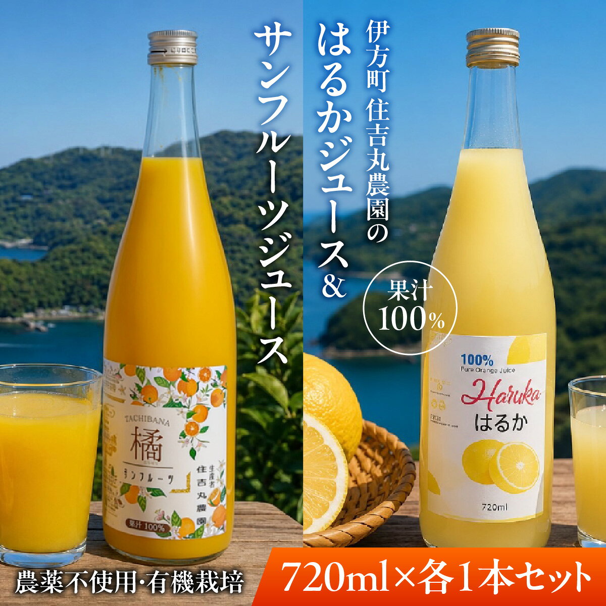 【ふるさと納税】はるかジュース サンフルーツジュース 720ml×各1本（計2本）【ふるさと納税 人気 おすすめ ランキング はるか サンフルーツ ジュース みかん ミカン オレンジ 無農薬 有機栽培 佐田岬半島 農家直送 住吉丸農園 愛媛県 伊方町 送料無料】 IKTBN024