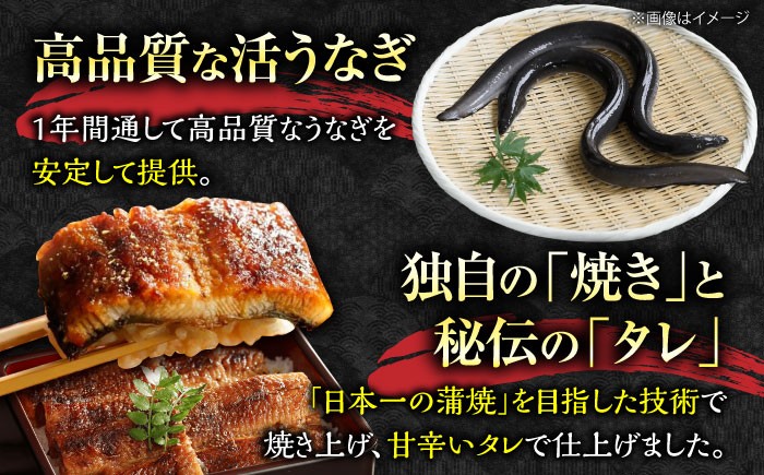 国産 うなぎ 蒲焼 大2尾 合計 320g (1尾あたり 160g以上)