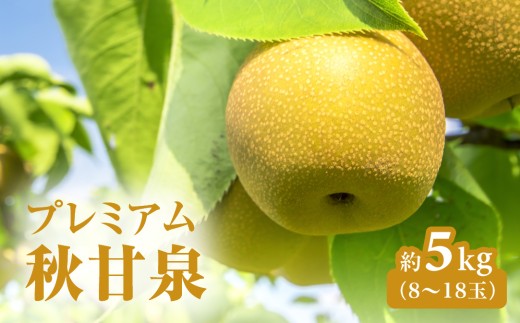 【令和9年産先行予約】プレミアム秋甘泉（あきかんせん） 5kg前後(8～18玉前後) 梨 なし 果物 高間商店 日野町