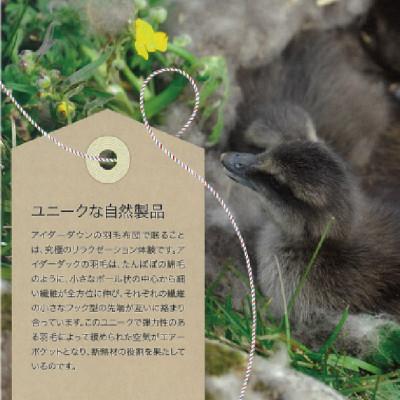 ふるさと納税 和泉市 【ダブル】羽毛布団 (掛けカバー付) アイスランド産アイダーダックダウン99%&ピュアカシミヤ毛布 |  | 01