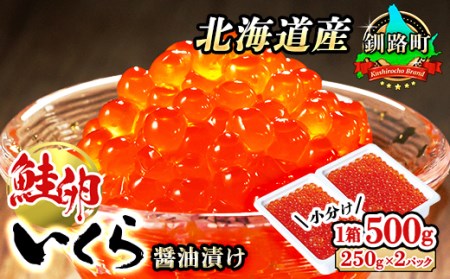 いくら醤油漬け 500g ＜250g ×2パック ×1箱＞ 小分け |  国産 北海道産 いくら いくら醤油漬 イクラ ikura 天然 鮭 サーモン  鮭卵 鮭いくら 北海道 昆布のまち 釧路町 笹谷商店 直営 釧之助本店 人気の 訳あり！ 子どもの日 母の日 父親の日 ご飯 米 無洗米 にも最適【配送不可地域：離島】【1121170】