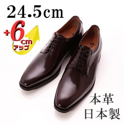 ふるさと納税 大和郡山市 牛革外羽根プレーン 6cmアップ メンズシークレットシューズ 紐 No.1931 ワイン24.5cm