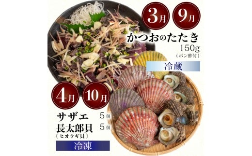 6ヶ月 定期便 刺身 鮮魚 6回 定期便 新鮮 国産 （ ブリ かつお たたき キハダ マグロ タイ 貝 セット）長太郎 サザエ  鰹 鯛 鮪 セット 冷凍 冷蔵 しゃぶ 鯛 お鍋 海鮮 年末 年始 