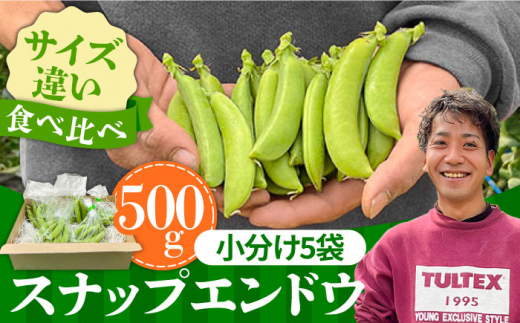 【2027年1月〜発送】スナップエンドウ サイズ違い 食べ比べセット 100g × 5袋 / 小分け / 南島原市 [SFL001]