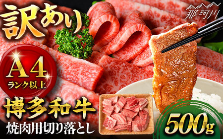 【訳あり】博多和牛 焼肉 切り落とし 500g＜株式会社MEAT PLUS＞那珂川市 切り落とし 切り落とし 切り落とし 切落とし 切り落とし 切落とし [GBW117] 11000 11000円