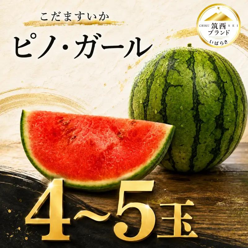 【2027年先行受付】【 JA北つくば 】 こだますいか 「 ピノ・ガール 」 4～5玉