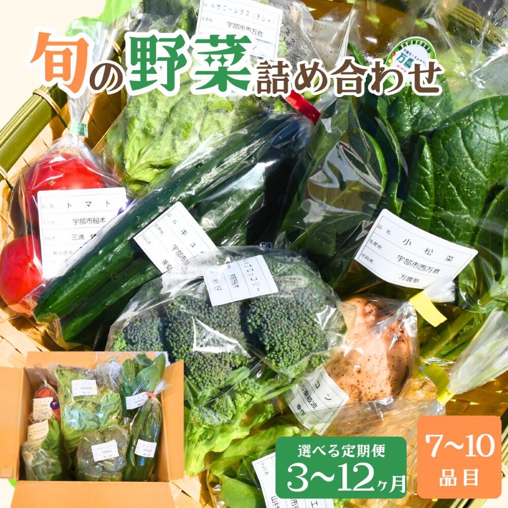【ふるさと納税】【選べる定期便 3ヶ月〜12ヶ月】新鮮野菜の産直 7～10品目 ＜楠こもれびの郷「楠四季菜市」 | 新鮮野菜 宇部市産 季節野菜 詰合せ 直送 野菜セット 旬の野菜 地元産 新鮮食品 野菜ボックス 定期便 山口県 宇部市
