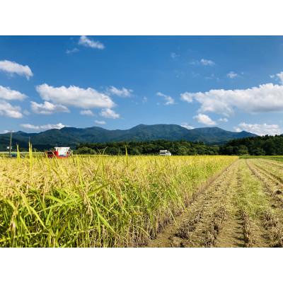 ふるさと納税 新庄市 黒澤のササニシキ 10kg(精米) |  | 03