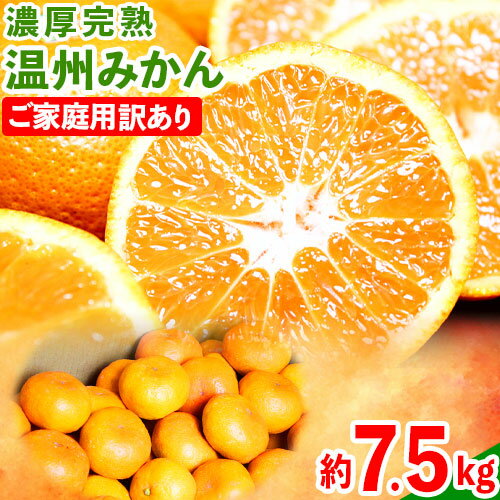 【ふるさと納税】【先行予約】【ご家庭用訳アリ】 紀州有田産 濃厚完熟温州みかん 約7.5kg 魚鶴商店《2025年11月下旬-2026年2月上旬頃出荷予定》 和歌山県 日高町 みかん 温州みかん 完熟 濃厚 柑橘 ご家庭用