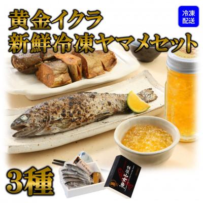 ふるさと納税 三股町 【テレビで紹介されました!】【先行受付】黄金イクラと新鮮冷凍ヤマメセット【A-0202】
