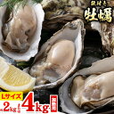 【ふるさと納税】 【先行予約】牡蠣 殻付き 牡蠣 Lナイフ レシピセット 加熱用 選べる 2kg or 4kg 寄島町漁業協同組合《2025年2月上旬‐4月中旬頃発送予定》岡山県 浅口市 海鮮 かき 牡蠣 岡山県寄島産 カキ 鍋 牡蠣鍋 バーベキュー BBQ カキフライ 【離島配送不可】