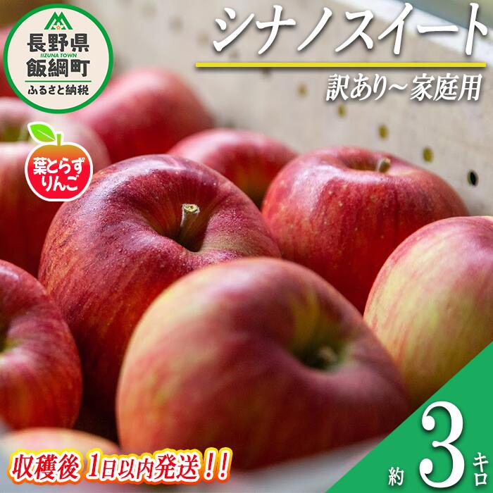 【ふるさと納税】 りんご 葉とらず シナノスイート 訳あり 〜 家庭用 3kg 採れたてを発送 フレッシュフルーツミカズキ 沖縄県への配送不可 令和7年度収穫分 長野県 飯綱町 〔 傷 不揃い リンゴ 果物 フルーツ 14000円 予約 農家直送 〕発送時期：2025年10月中旬頃〜 {*}