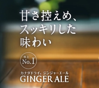 カナダドライジンジャーエール 500mlPET（24本入） 飲料 ドリンク コカ・コーラ ジンジャーエキス 水分補給 常備 保存 買い置き PET 人気 おすすめ  BB-0012