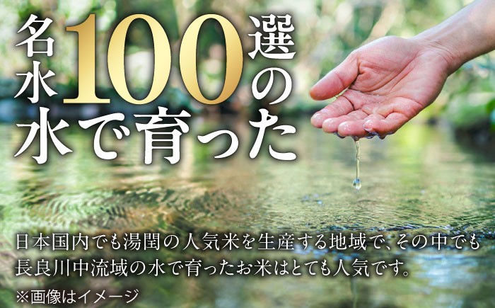 ハツシモ はしつも すし飯 お米 米 こめ 白米 5kg 5キロ