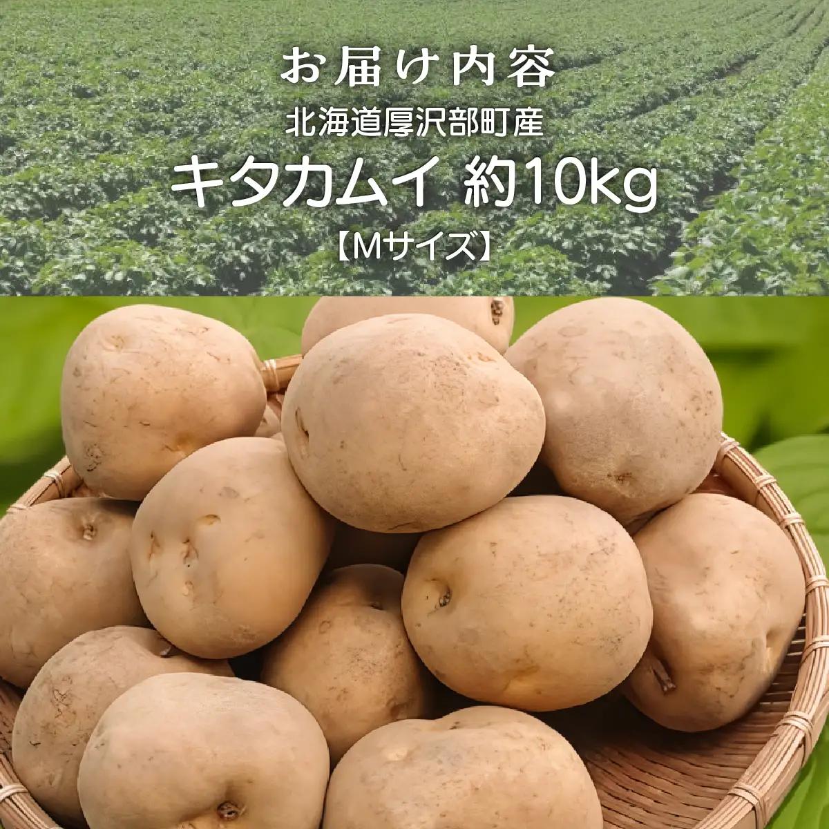 【2026年9月下旬より発送】北海道厚沢部町産 キタカムイ 10kg【Mサイズ】 ASO033