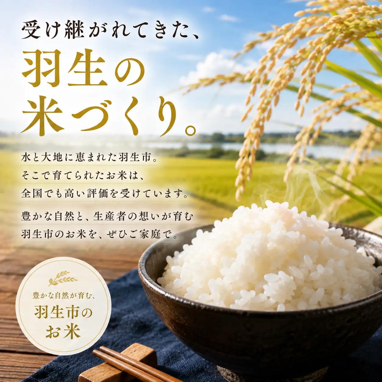 【3回定期便】 精米 彩のきずな 10kg 精米 