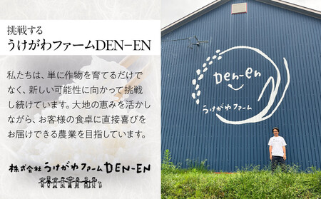 【先行予約】【定期便】特別栽培米ゆめぴりか玄米5kg 令和7年産 3ヶ月毎月発送(10月より発送予定) 【 ご飯 ごはん 米 コスパ お米 旭川市ふるさと納税 北海道ふるさと納税 】 _05271
