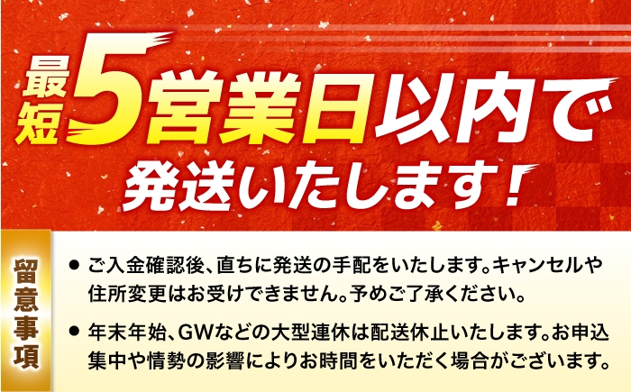 はんばーぐ ハンバーグ 簡単 真空パック 大人気 牛肉 弁当 小分け
