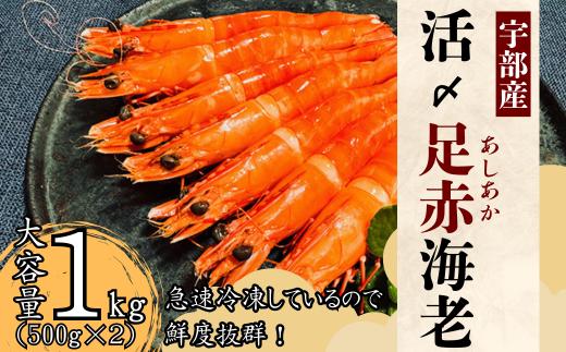 【活き〆】冷凍 足赤えび 500g ×2 パック【えび エビ 海老 足赤えび 足赤エビ 足赤海老 クマエビ 海鮮 冷凍 急速冷凍 宇部産 茹でえび エビフライ 塩焼 天ぷら お鍋 鮮度抜群 海の幸 簡単調理 プリプリ食感】