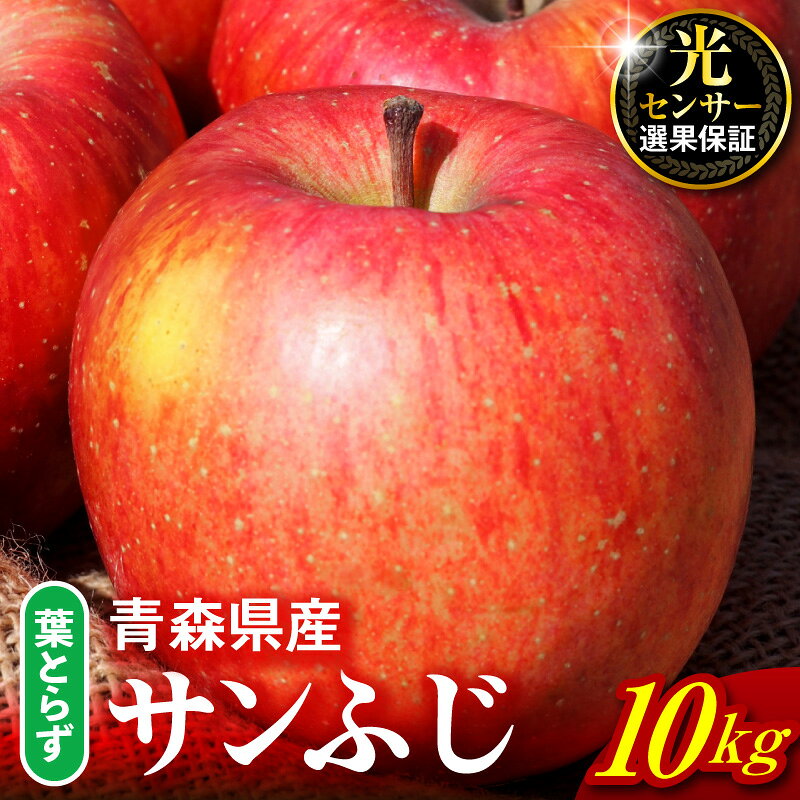 【ふるさと納税】葉とらず サンふじ 10kg ( 配送時期が選べる 11月～ 3月 ) / 不揃い 規格外 りんご 林檎 アップル 常温保存 秋 旬 果物 くだもの フルーツ 青森県 五所川原市