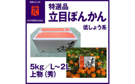 特選品立目ぽんかん（低しょう系）約5kg | L～２L 上物（秀）〈2025年1月～発送〉【グレイジア株式会社】 [ATAC332]