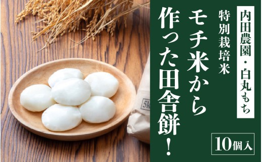 モチ米から作った田舎餅！10個入 ピロール農法 [A-168005] / 餅 タンチョウモチ米 モチ米 米 モチ コシ 粘り 国産 送料無料 雑煮 ぜんざい まるもち 丸餅 餅 年末 年始 正月 お餅 もち おもち きりもち 玄米