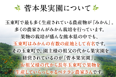 『菅本果実園』こだわりの手搾りみかんジュースセット 太陽の雫530ml×1本 早生の極み530ml×1本《11月下旬‐2024年4月末頃出荷》  熊本県玉名郡玉東町