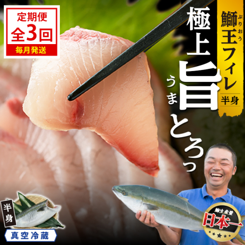 ＜定期便・毎月発送 全3回＞「鰤王」 フィレ 半身 (フィレ1枚) 定期便 約0.8kg～ 鹿児島県 長島町 産産地直送 新鮮 ブランド ぶり 鰤 ブリ 切り身 刺身 ぶりしゃぶ しゃぶしゃぶ 魚 魚介 人気 ランキング【JFA】jfa-7006S