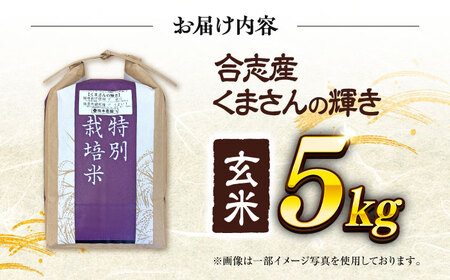 【令和7年度】 くまさんの輝き 玄米 5kg (1袋) 玄米[AYCC020]