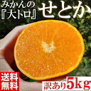 【ふるさと納税】みかん の大トロ せとか 約5kg S～LLサイズ混合 訳あり ブランド 和歌山 有田みかん 農家直送 オレンジ フルーツ 果物 | みかん 蜜柑 フルーツ 果物 くだもの 食品 人気 おすすめ 送料無料