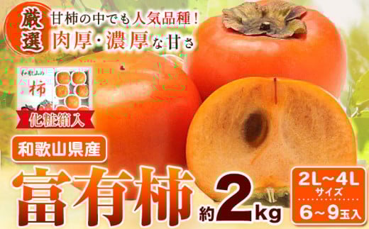 【先行予約】［厳選・産直］和歌山産 の 富有柿 約 2kg（ 化粧箱 入り ）（2L～4Lサイズ） 厳選館《2025年11月上旬-12月下旬頃出荷》和歌山県 日高川町 富有柿 贈答用 柿 ギフト くだもの 旬