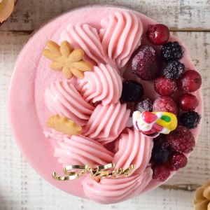 ＜栃木県＞Xmasジェラートケーキ(クリスマスアイスケーキ)※2024年12月中旬～下旬頃にお届け ※北海道・沖縄・離島・九州・山口県への配送不可
