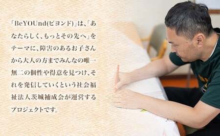 690 ねりねりマグネット 5種セット 乗り物 障害がある方の手作りマグネット【社会福祉法人 茨城補成会】