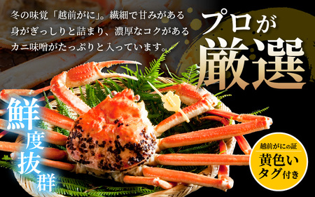 ≪浜茹で≫越前がに 中サイズ（生で900g以上）× 2杯 合計1.8kg以上 【1月発送分】食べ方しおり付【雄 ズワイガニ かに カニ 蟹 越前ガニ 姿 ボイル 冷蔵 福井県】希望日指定可 備考欄に希