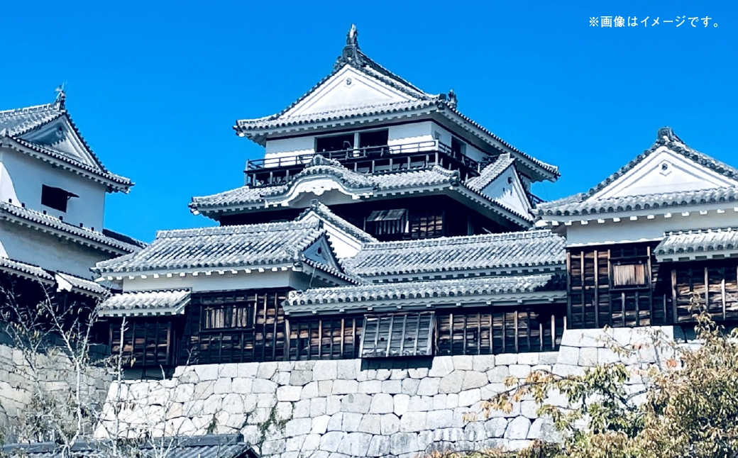 愛媛県内に泊まるふるさと納税旅行クーポン15,000円分