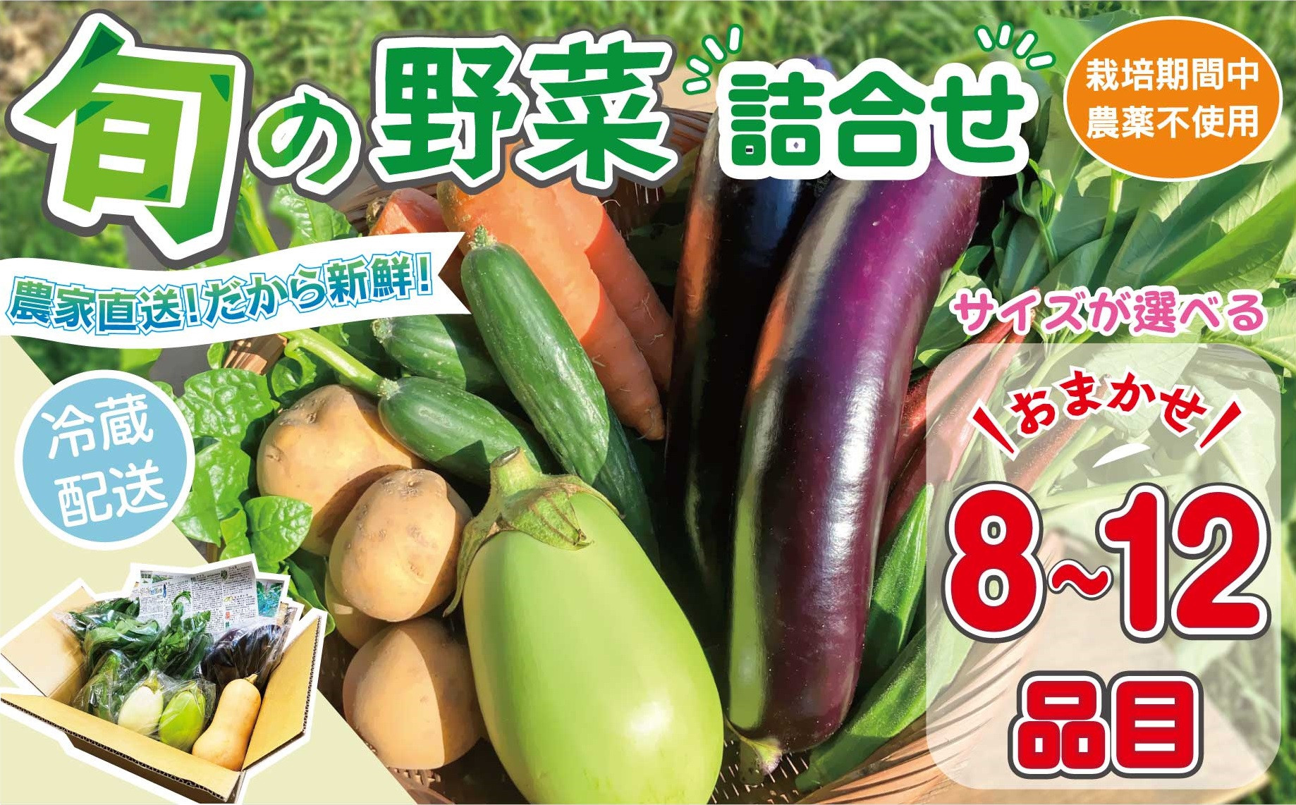 
            【容量が選べる】 野菜セット (8~12品目) 旬 季節 南知多産 詰め合わせ 農薬･化学肥料不使用 農家おまかせ 季節の野菜 旬の野菜 料理 とりのさと農園 愛知県 南知多町
          