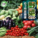 【ふるさと納税】 野菜 定期便 6ヶ月 野菜セット （10種類前後発送） やさい 新鮮 直売所 直送 野菜 詰め合わせ 送料無料 産直 採れたて 旬 夏野菜 野菜スープ 野菜ジュース トマト 玉ねぎ ナス ピーマン 福島県 大玉村 ｜ 01108