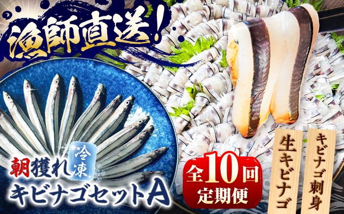 
            【全10回定期便】きびなごセットA（キビナゴのお刺身＆生キビナゴ） 五島市/Sun Sea Go Company [PGL008]
          