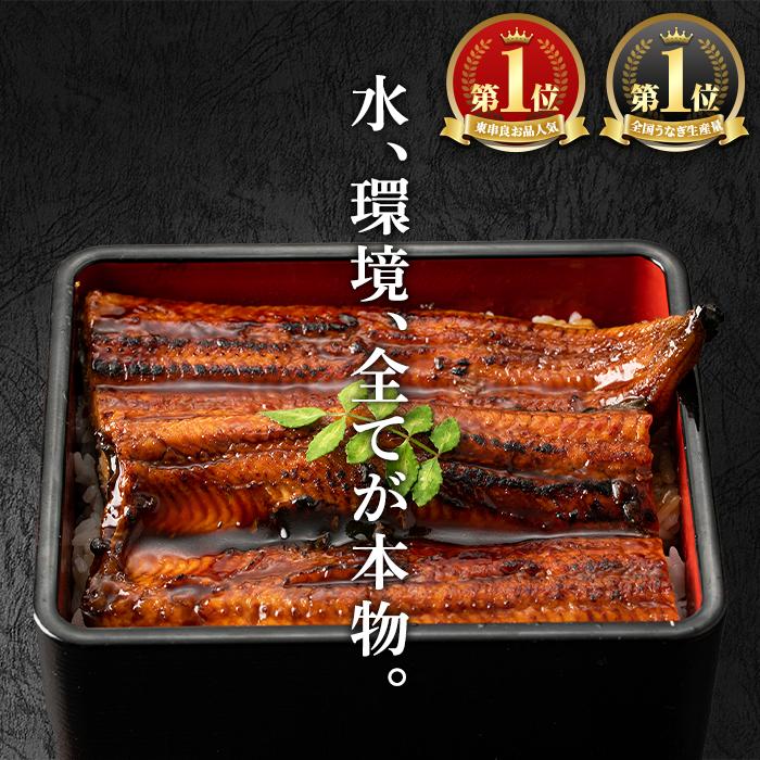 【0124326a-2510】＜10月上旬発送予定＞東串良町のうなぎ蒲焼(無頭)(2尾・計約300g・タレ、山椒付) うなぎ 高級 ウナギ 鰻 国産 蒲焼 蒲焼き たれ 鹿児島 ふるさと 人気【アクア