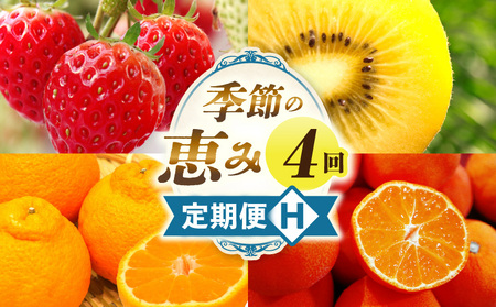 季節の恵み4回定期便H | 果物 フルーツ 青果 青果物 デザート スイーツ 果実 旬 季節 旬の果物 季節の果物 生鮮食品 生鮮 贈答 贈り物 ギフト プレゼント おすそ分け お祝い 内祝い ご褒美