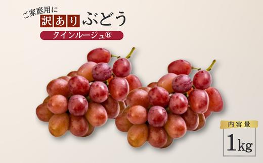 TK20 ぶどう クイーンルージュ® 【家庭用】 約1kg ／2026年9月下旬～10月中 配送予定 // 稀少 新品種 長野県 南信州 松川町産 高糖度 葡萄 クインルージュ 甘い 種なし 皮ごと 訳あり お試し
