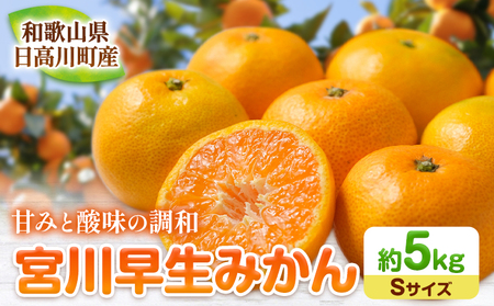 和歌山県産 みかん 約5kg(Sサイズ)冬木農園 《2024年12月上旬‐1月中旬頃出荷予定》 ｜みかんみかんみかんみかんみかんみかんみかんみかんみかんみかんみかんみかんみかんみかんみかんみかんみかんみかんみかんみかんみかんみかんみかんみかんみかんみかんみかんみかんみかんみかんみかんみかんみかんみかんみかんみかんみかんみかんみかんみかんみかんみかんみかんみかんみかんみかんみかんみかんみかんみかんみかんみかんみかんみかんみかんみかんみかん