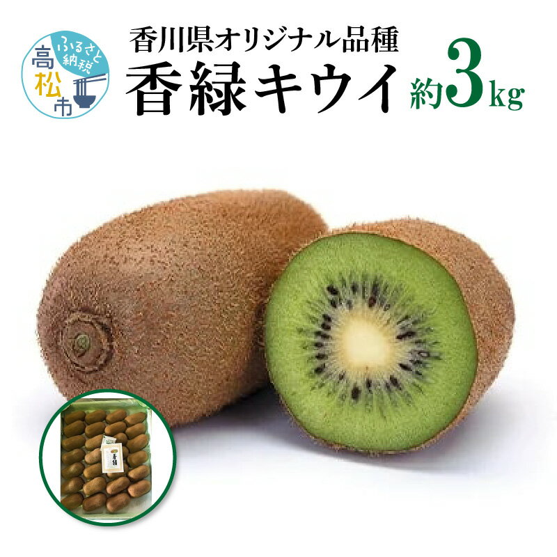 【ふるさと納税】香緑キウイ　約3kg【2026年11月下旬～2027年2月下旬配送】 | 香緑 キウイ キウイフルーツ 果物 フルーツ デザート スイーツ おやつ 果実 果肉 糖度 甘み ジューシー 国産 食品 農産物 グルメ お取り寄せ お取り寄せグルメ 四国 香川県 高松市