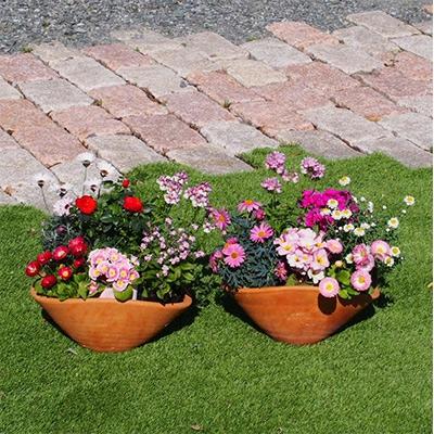 ふるさと納税 朝倉市 可愛いピンクのお花たっぷりの寄せ植え(舟形Mサイズ)×2鉢 |  | 01