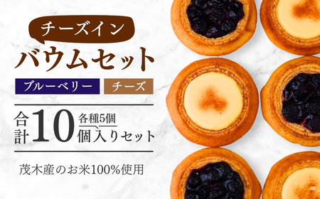 バウムクーヘン 米粉100%使用 チーズ＆ブルーベリーバウムセット 10個(5個×2種) | ﾊﾞｰﾑｸｰﾍﾝ ﾊﾞｰﾑｸｰﾍﾝ ﾊﾞｰﾑｸｰﾍﾝ ﾊﾞｰﾑｸｰﾍﾝ ﾊﾞｰﾑｸｰﾍﾝ